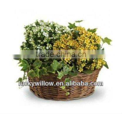 Environmental beautiful willow flower pot rattan modern basket