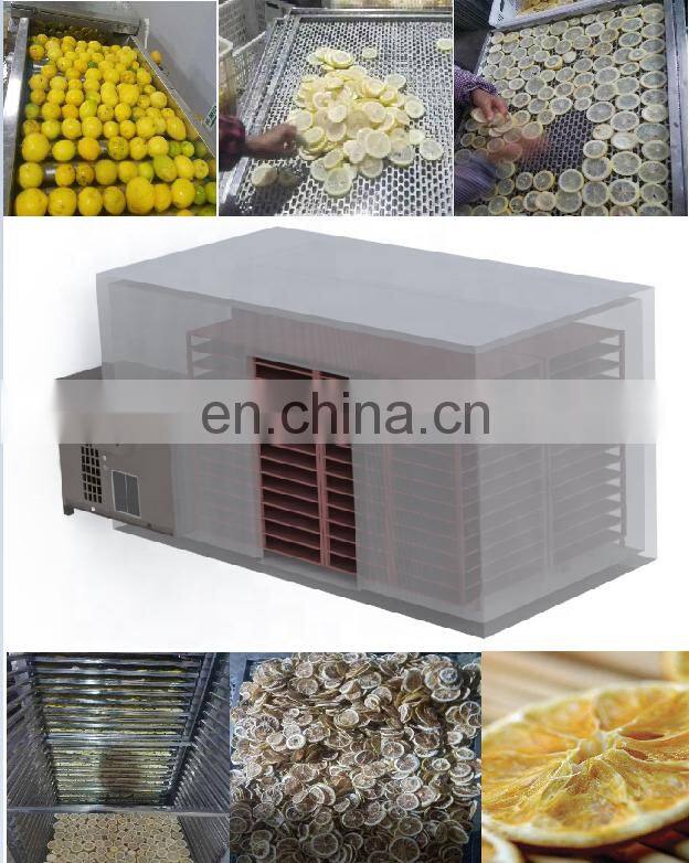 Phnix Energy Saving 75% heat pump dryer for drying herb fruit vegetable lemon dryer