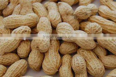 Peanut Roasting Machine|coffee bean roasting machine|nuts roasting machine