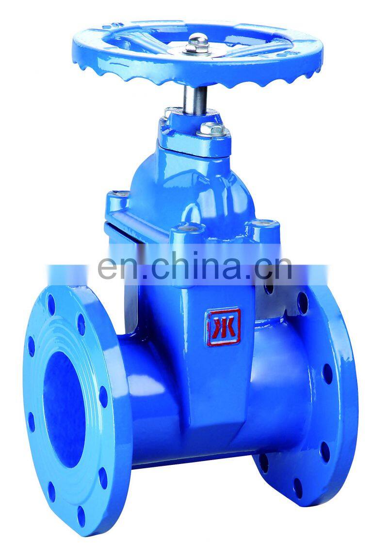 Cast Iron Gate Valve Industrial Flanged Type Brass Water Meter Iron Gate Valve with Low Prices