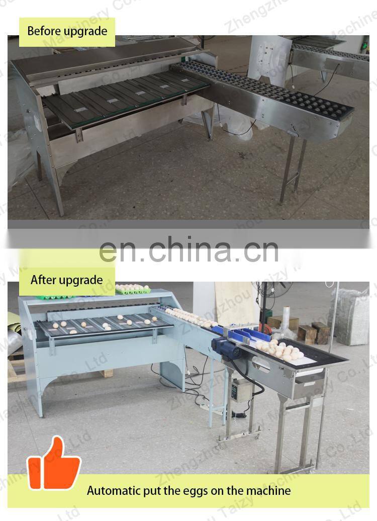 Commercial Egg Sorting Machine Small Egg Grader With Accumulator Lifter Egg Grading Machine