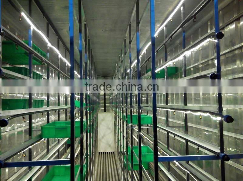 500kg animal fodder hydroponics