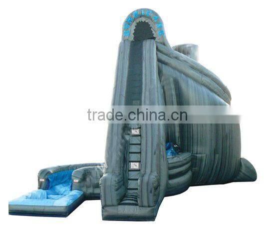 New Point inflatable water slides for summer,fashionable garden play inflatable slide,inflatable water slidekids
