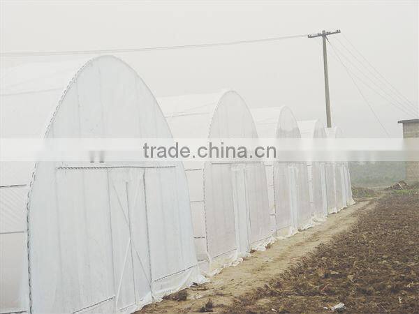 tunnel greenhouses and prices