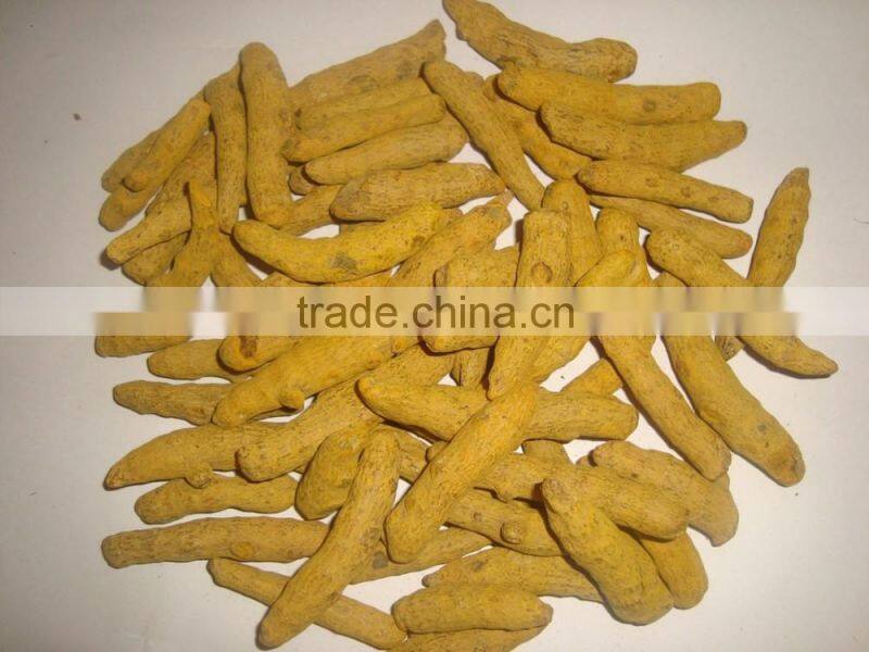 Turmeric from south india