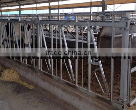 milk dairy products cattle livestock cheap cattle panels for sale cattle headlock