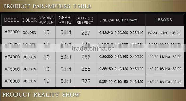 10BB Ball Bearing Saltwater Freshwater Fishing Spinning Reel 5.5:1 EF2000-6000
