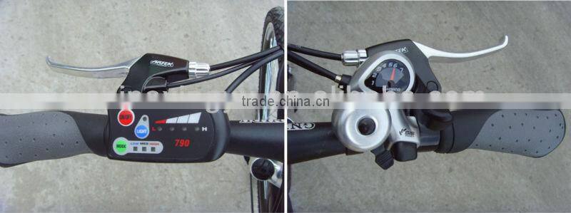 mountain bike electric folding bike XY-EB005F