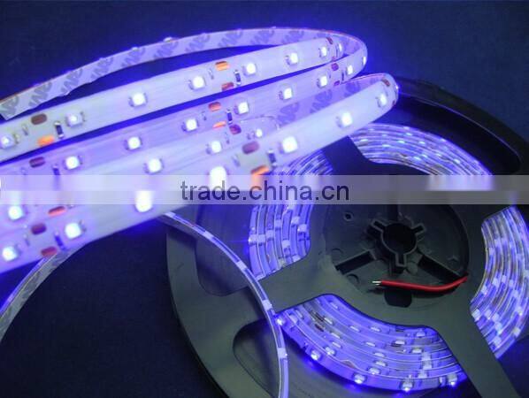 Purple 3528 single color 60 led strip dc12v ip65 waterproof silicon coating white pcb