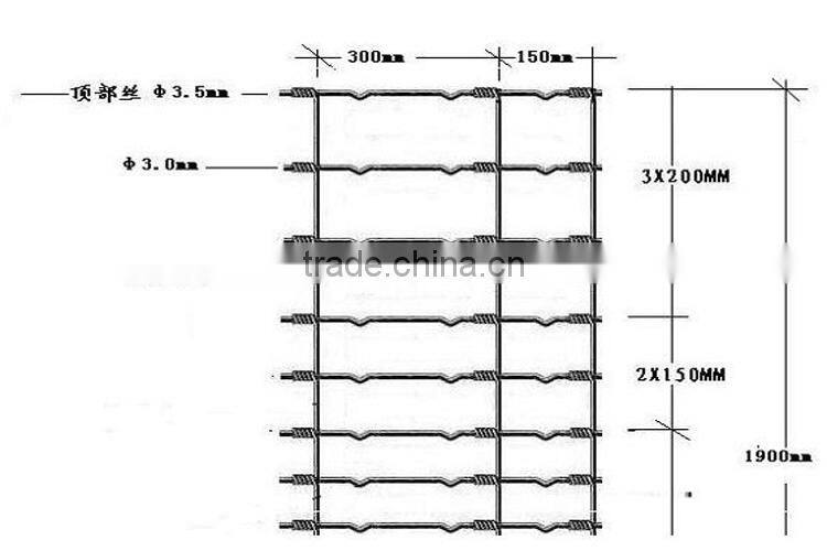 Galvanized fixed knot field fence for goat farm