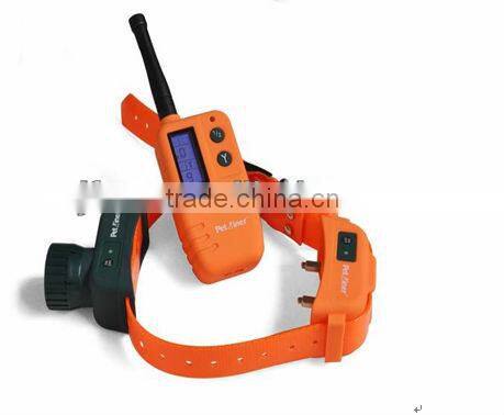 Original !!! Dog Training Video