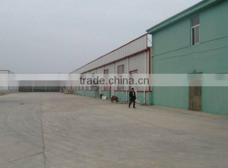 better fresh canned apricot half