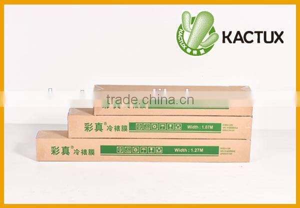 PVC cold lamination film for protection, laminating film for poster