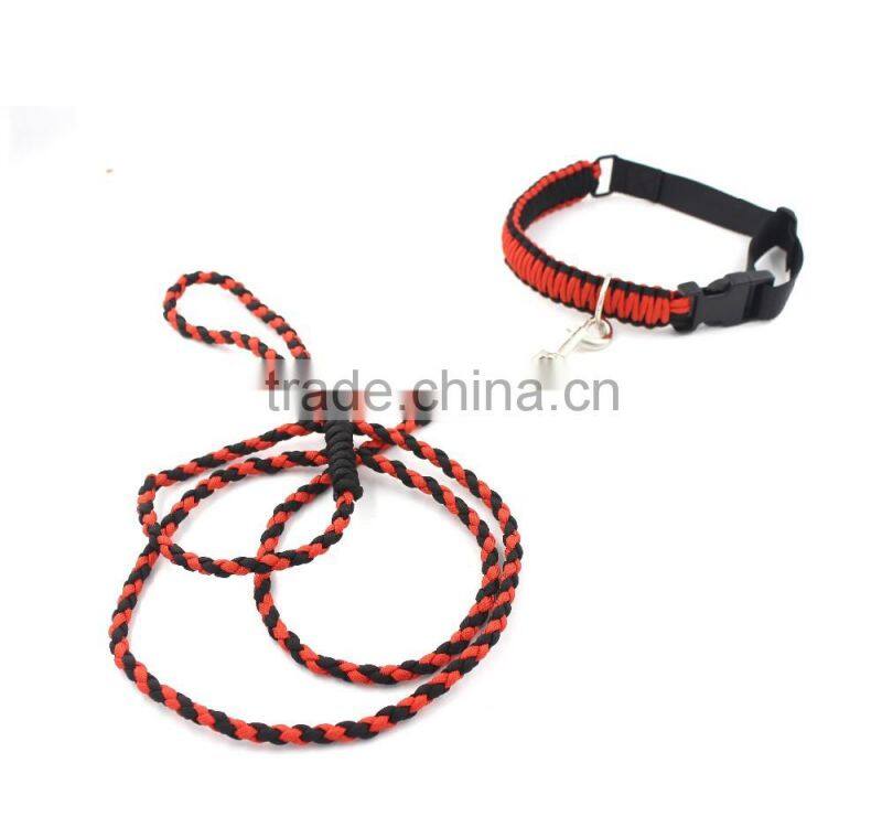 Braid rope dog leash and collar, paracord dog leash