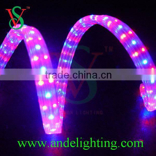 High quality Christmas Light led rope light for outdoor use