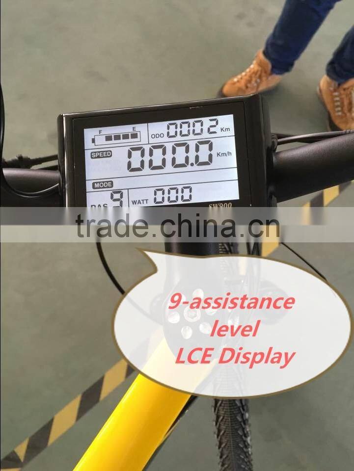 36V 10Ah MTB Electric bike with brushless motor