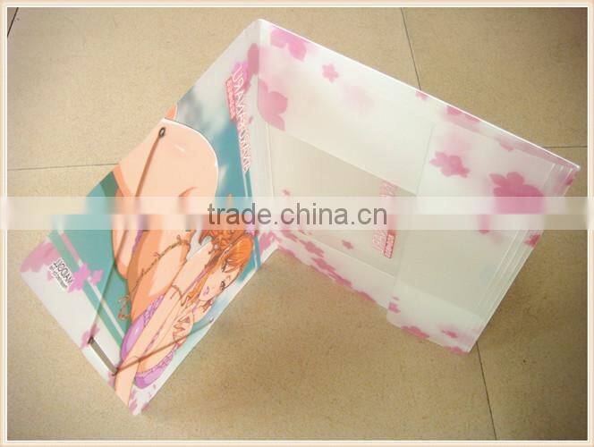 2014 Fancy PP Business File Holder