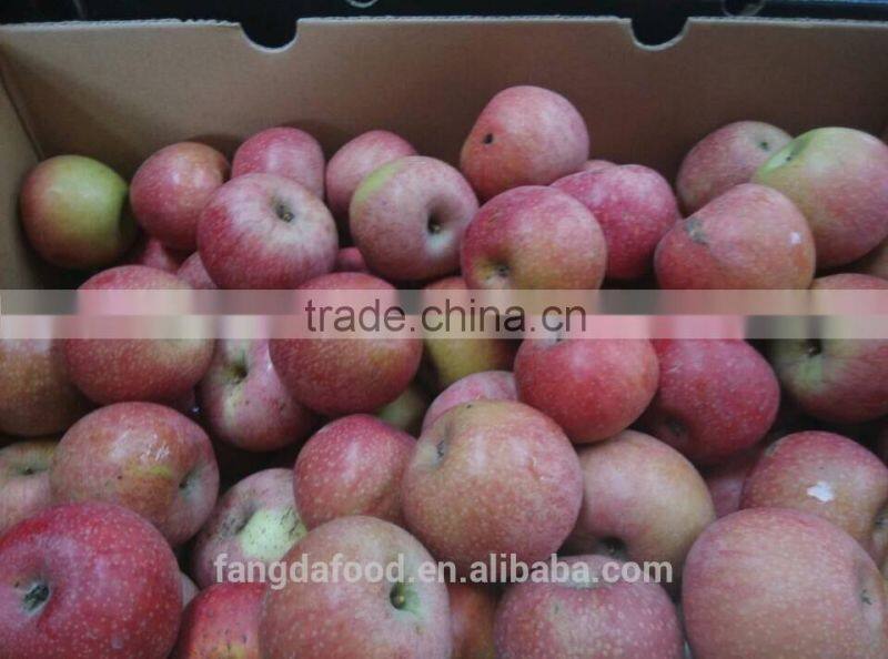 Moutain high red colour qinguan apple