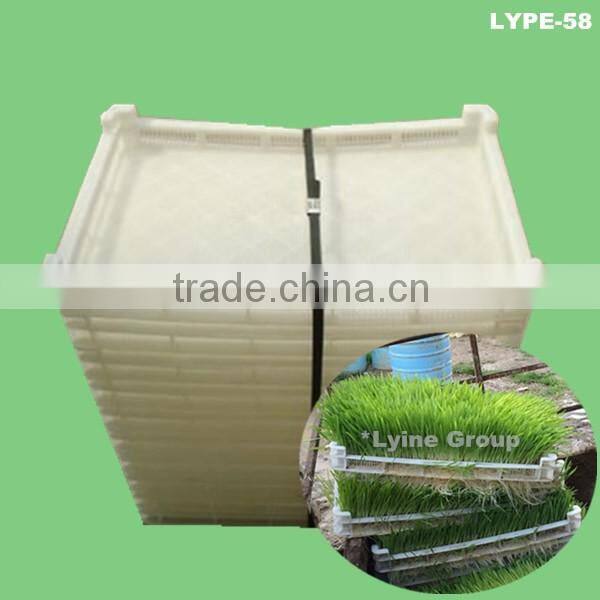 hydroponic green barley,wheat,alfalfa seedlings feed sprouting trays for animal,cattle,sheep,goats