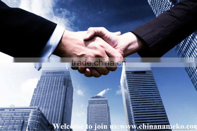 Marinated Suillus Luteus Mushroom