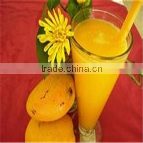 mango hollander beater/fruit beater/automatic fruit vegetable beater