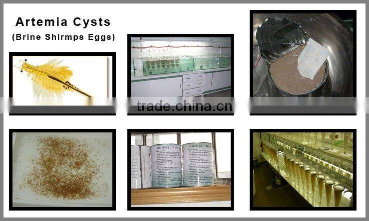 Artemia cysts fish feed