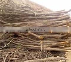 wood charcoal carbonization furnace oak natural wood charcoal