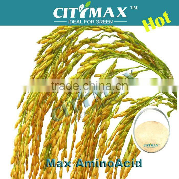 Import Amino Acid Powder