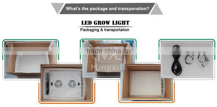 High LED grow light 600W 900W 1200w Led Light Usb