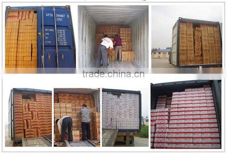 Best Selling MAGIC Ginger Tea Lowest Price