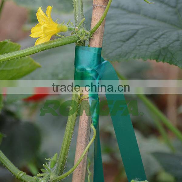 1" x 300ft garden use non-adhesive plastic grafting tape
