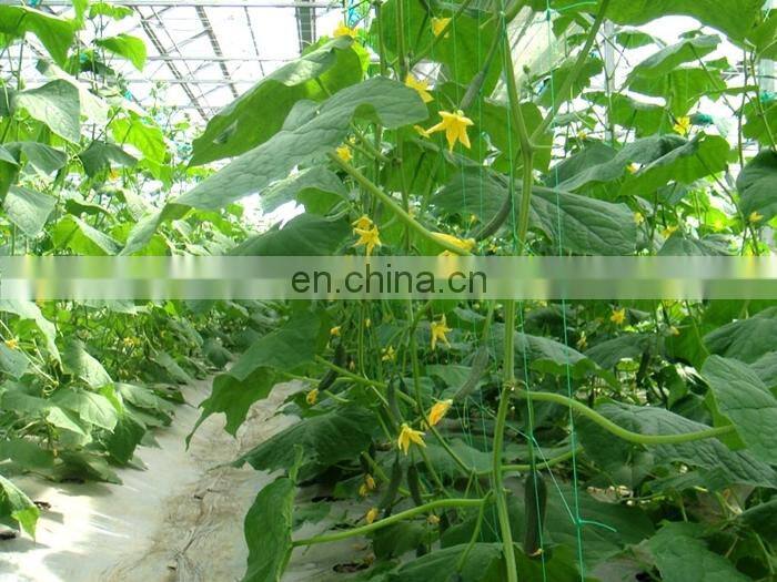 18x18cm square trellis netting/2x60m cucumber climbing mesh plant support net
