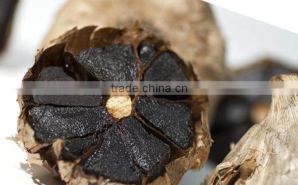 new product black garlic