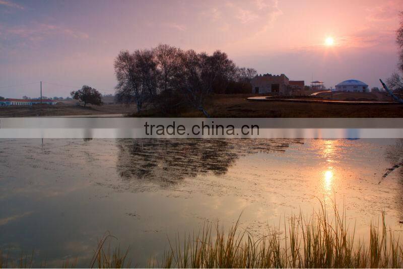 52mm Circular Grey Gradient Lens Filter