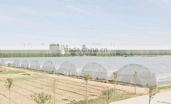 Sainpoly Hot Sale PE Covered Agricultural Single Span/Muilti Span Film Greenhouse