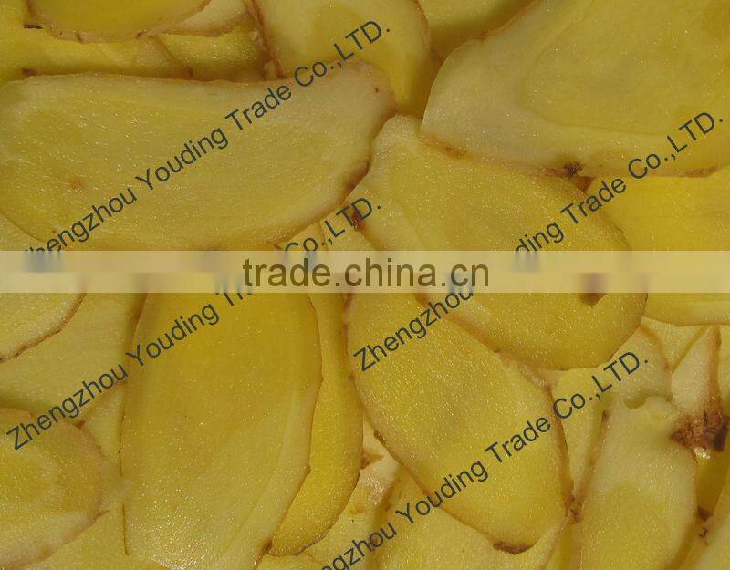 stainless steel Garlic processing machine (for chips cutting)