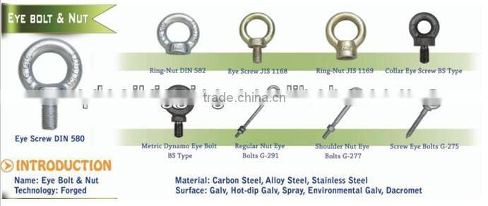 Carbon Steel Drop Foged china hot galvanizing jis 1169 ring nut