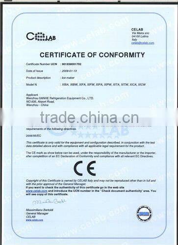 Small Flake Ice plant