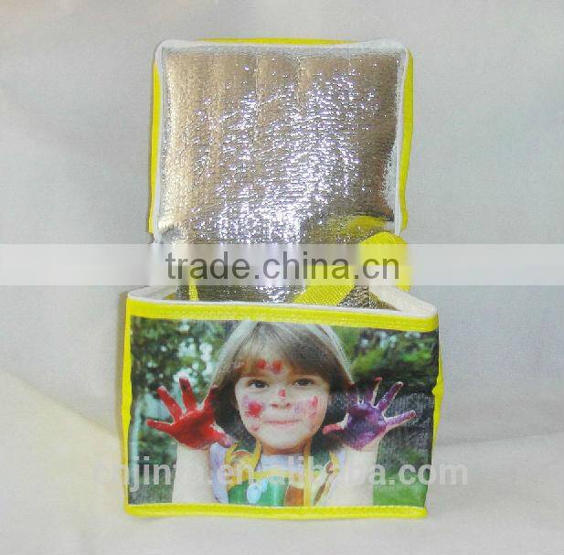 eco friendly pp woven insulated cooler bag