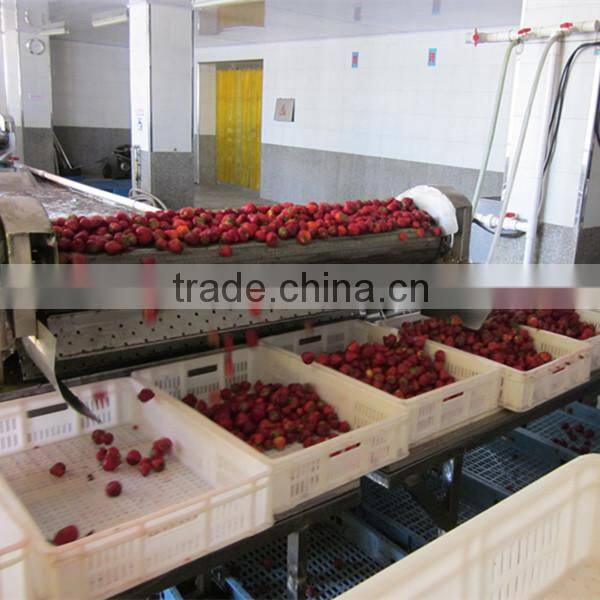 Frozen strawberry 4 1