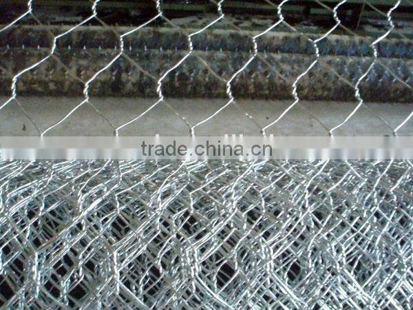 hexagonal wire mesh/ chicken wire mesh best selling
