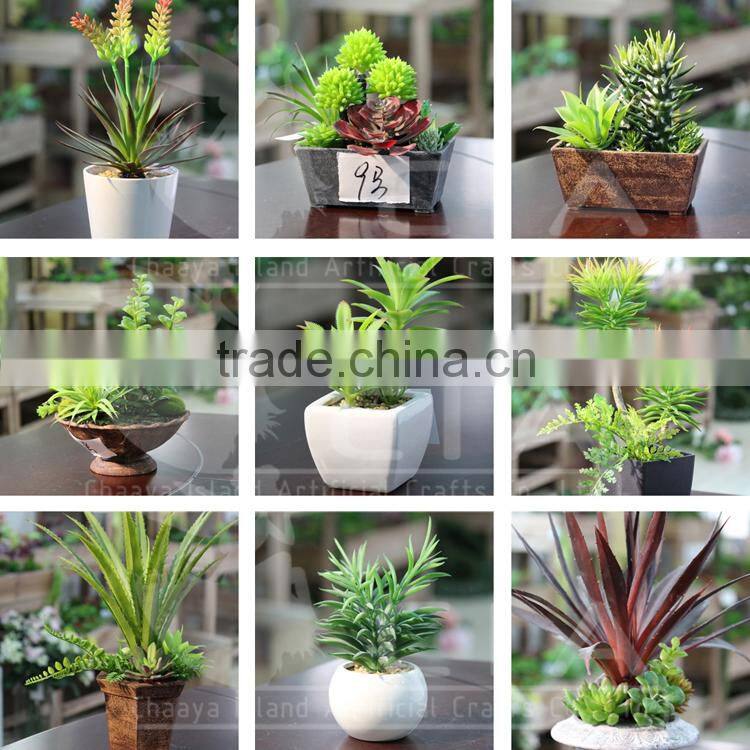 Cheap Fake Plastic Artificial Daisy Flower with Pot for Table Centerpiece