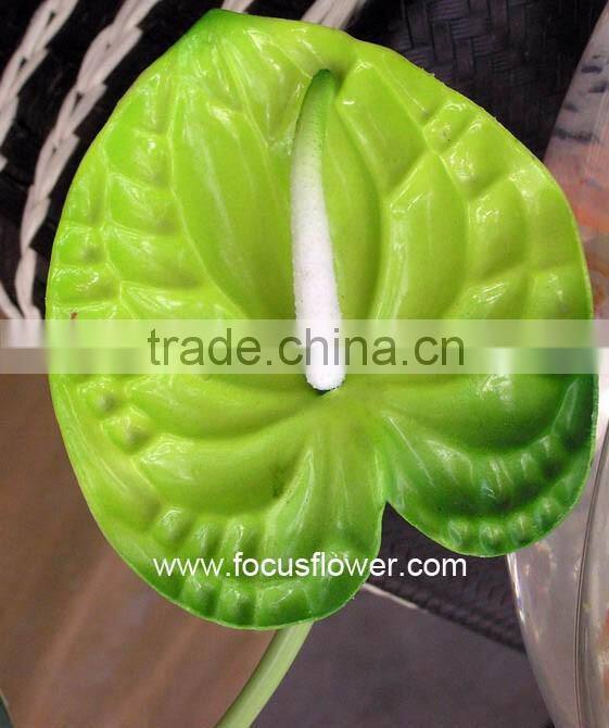 Best Anthurium Price Fresh Flower Hot Sale Anthuriums Plants From Wholesale Trading Companies