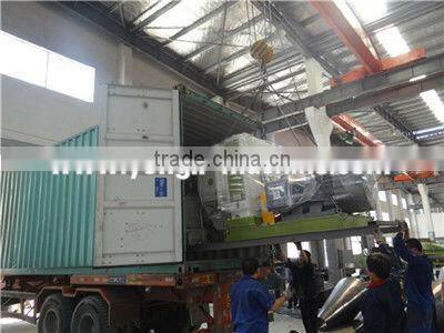 Hot sale double drum dryer