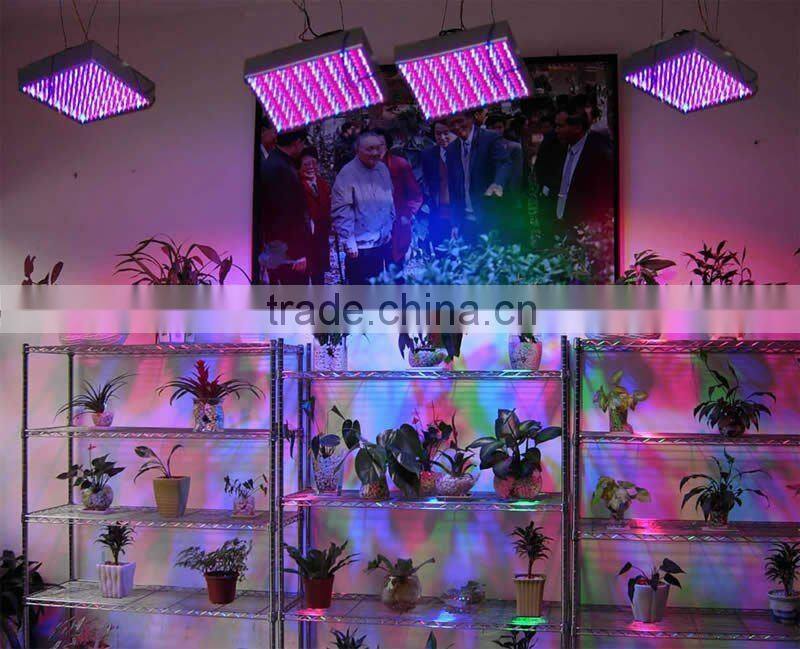 wholesale led grow light 600w