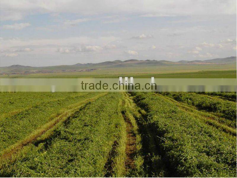 Hot Sale High Quality Rotary Drum Mower With CE Certificate