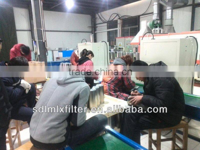 Truck Parts Diesel Filter VG14080739A