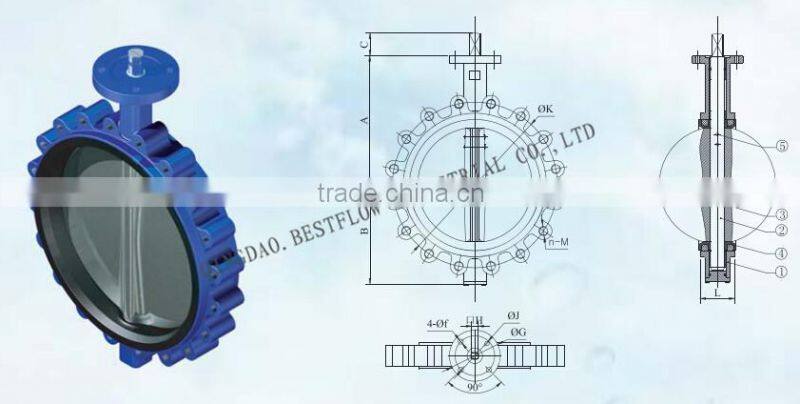 2 Inch Butterfly Valve