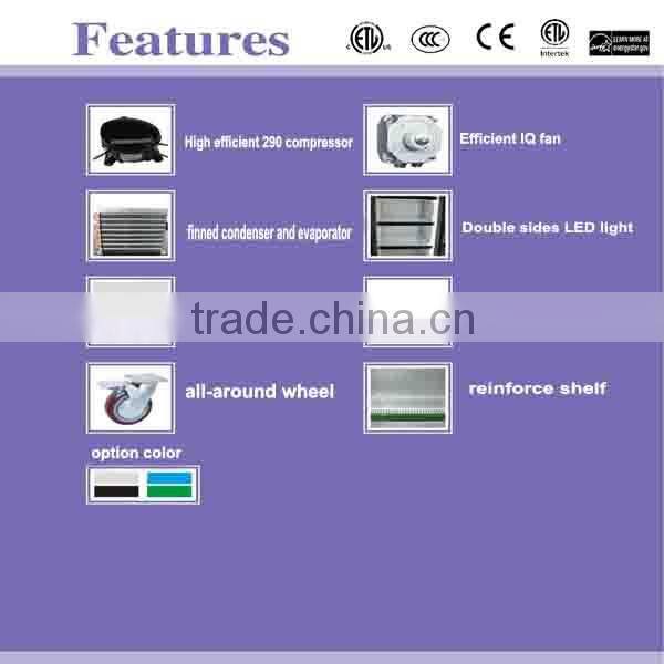 800L/1000L Pepsi Commercial 2 Glass Door Display Beverage Cooler & Freezer Beverage Showcase Bottle Cooler