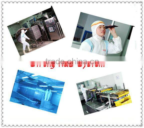 Best selling Japanese sushi hot wasabi powder